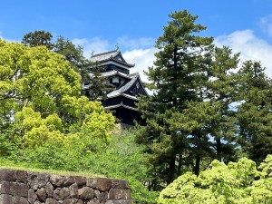 新緑の松江城
